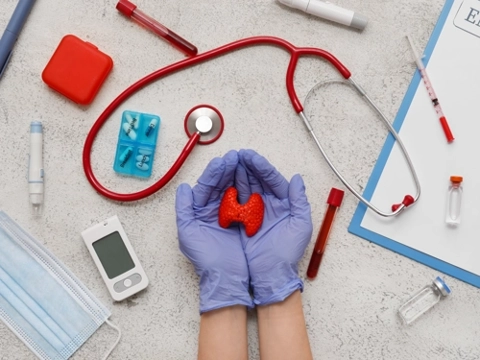 gloved hands holding a mini organ and surrounded by stethoscope and other medical devices